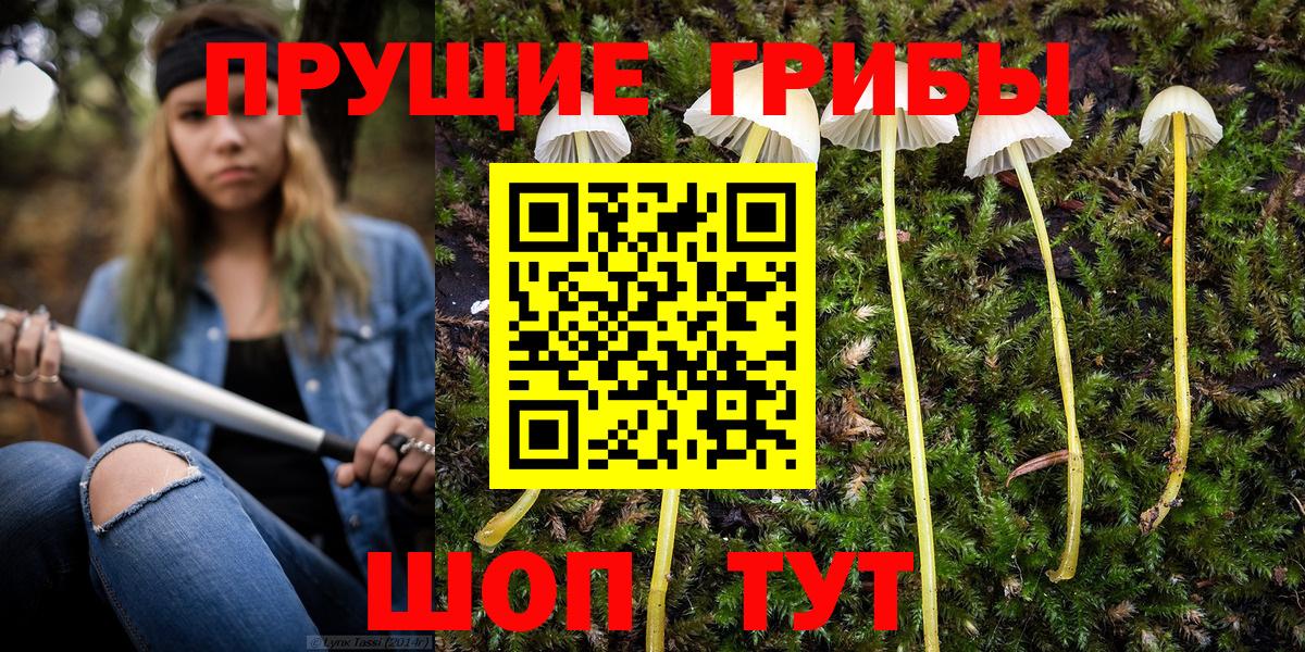 Галлюциногенные грибы ЛСД  купить наркотик  Гусь-Хрустальный  Вход с VPN 