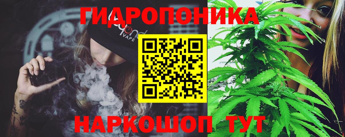 Бошки Шишки сатива  МАРИХУАНА Bruce Banner  Каннабис VHQ  Вход с VPN  Гусь-Хрустальный  Шишки марихуана сатива 